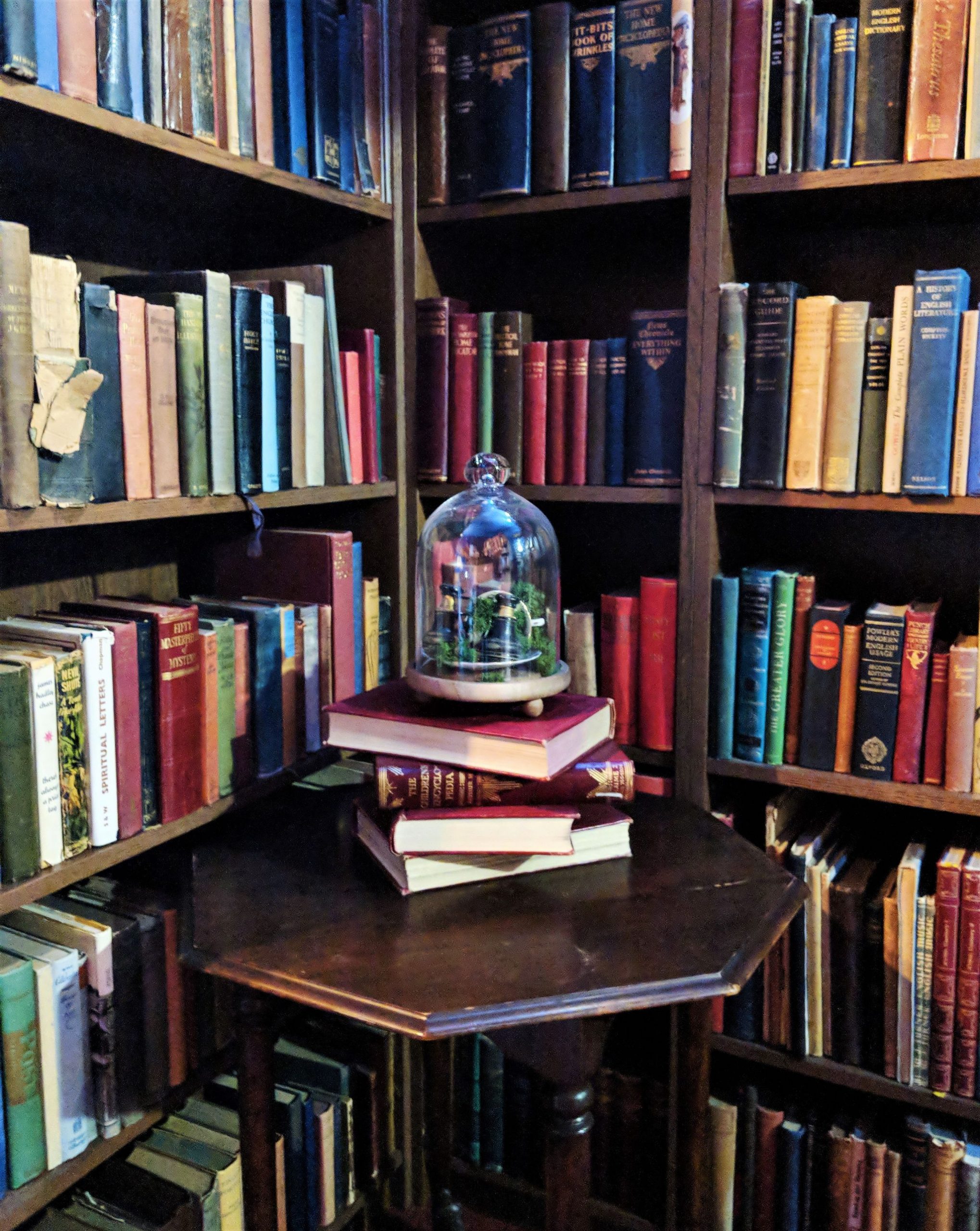 Grand Times At The Barrister s Book Chamber The Book Family Rogerson