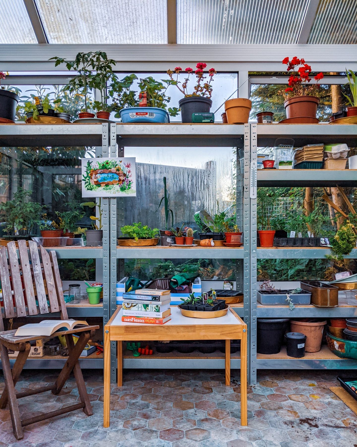 The Book Family Rogerson June Round-Up